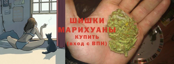 стафф Заводоуковск