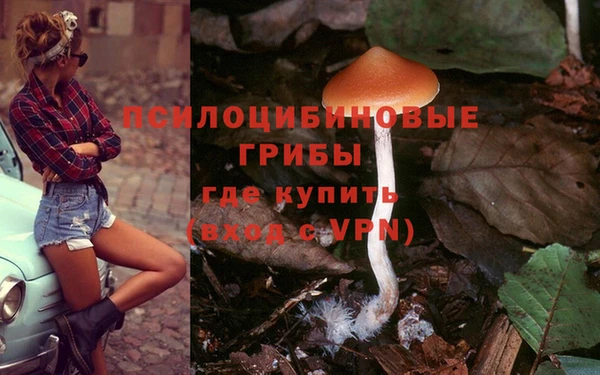 стафф Заводоуковск