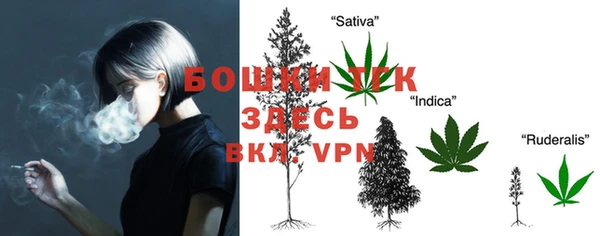 стафф Заводоуковск
