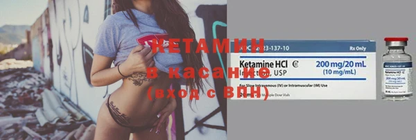 стафф Заводоуковск