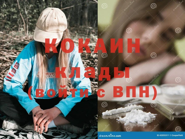 стафф Заводоуковск