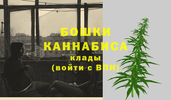стафф Заводоуковск